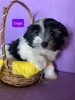 processed/c88d0962-982f-44cd-afcc-622682b4f3ad/facility/59010c46-7ccc-47bf-bbf9-44dd0e37022a