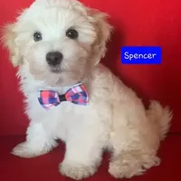 processed/c88d0962-982f-44cd-afcc-622682b4f3ad/facility/79f4e98e-905d-45b2-a1d8-1b1a6435f3c9