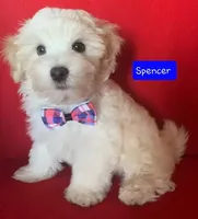 processed/c88d0962-982f-44cd-afcc-622682b4f3ad/facility/79f4e98e-905d-45b2-a1d8-1b1a6435f3c9