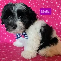 processed/c88d0962-982f-44cd-afcc-622682b4f3ad/facility/8d04d0a0-f7bb-4e2b-93a9-5cd8471dd006