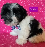 processed/c88d0962-982f-44cd-afcc-622682b4f3ad/facility/8d04d0a0-f7bb-4e2b-93a9-5cd8471dd006