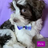 processed/c88d0962-982f-44cd-afcc-622682b4f3ad/facility/ed87943e-8f42-4773-8438-f752a15d093a