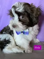 processed/c88d0962-982f-44cd-afcc-622682b4f3ad/facility/ed87943e-8f42-4773-8438-f752a15d093a