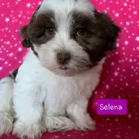 processed/c88d0962-982f-44cd-afcc-622682b4f3ad/facility/f1b6a7c4-86ed-435d-8fa9-bbd5df200d73