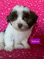 processed/c88d0962-982f-44cd-afcc-622682b4f3ad/facility/f1b6a7c4-86ed-435d-8fa9-bbd5df200d73