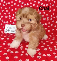 processed/c88d0962-982f-44cd-afcc-622682b4f3ad/listing/22578958-1675-48ca-9b11-7af428774a7e/1fa85f83-0e9f-426f-b6b5-822f4c5a1ed0