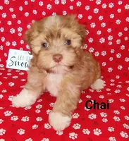 processed/c88d0962-982f-44cd-afcc-622682b4f3ad/listing/22578958-1675-48ca-9b11-7af428774a7e/8d2f5cb2-1e72-43e5-b9f4-7c54bbd6448e