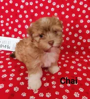 processed/c88d0962-982f-44cd-afcc-622682b4f3ad/listing/22578958-1675-48ca-9b11-7af428774a7e/9942a37e-2e2b-4b91-8755-75a91e5a989a