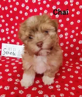 processed/c88d0962-982f-44cd-afcc-622682b4f3ad/listing/22578958-1675-48ca-9b11-7af428774a7e/9d0f33d6-cdd5-407d-89a0-5647d453e068