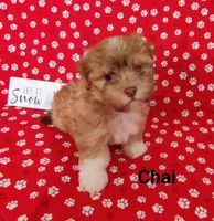 processed/c88d0962-982f-44cd-afcc-622682b4f3ad/listing/22578958-1675-48ca-9b11-7af428774a7e/b47860eb-013a-49d9-af0f-046947ed513b