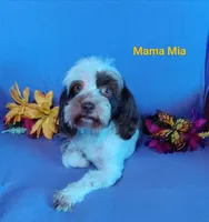 processed/c88d0962-982f-44cd-afcc-622682b4f3ad/listing/22578958-1675-48ca-9b11-7af428774a7e/c70069fe-b0ec-4557-94a3-3f0758748158