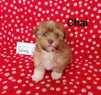 processed/c88d0962-982f-44cd-afcc-622682b4f3ad/listing/22578958-1675-48ca-9b11-7af428774a7e/ca67b9fb-1a57-43fb-b2cb-0f95fbf726da