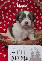 processed/c88d0962-982f-44cd-afcc-622682b4f3ad/listing/3dbc15b8-7a21-4f54-9a85-8d9134f0b0b2/5cf12537-ea3d-4c45-bb19-79eb1ae75404