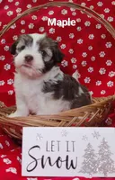 processed/c88d0962-982f-44cd-afcc-622682b4f3ad/listing/3dbc15b8-7a21-4f54-9a85-8d9134f0b0b2/ff355814-1eca-415b-8798-363138e26195