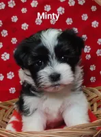 processed/c88d0962-982f-44cd-afcc-622682b4f3ad/listing/a4336a14-c94b-4c42-a8f2-cf076f1830f6/a916d951-4dea-4a5b-aa1e-375684e8ff1a