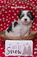 processed/c88d0962-982f-44cd-afcc-622682b4f3ad/listing/b6bbfb4b-39c6-4942-9e5f-52e756b50ff4/18339cfc-d390-4261-940a-6a9338c39def