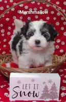 processed/c88d0962-982f-44cd-afcc-622682b4f3ad/listing/b6bbfb4b-39c6-4942-9e5f-52e756b50ff4/428ea697-7e04-496a-b46d-c7ded4bcb4ad