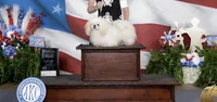 Sugar, a female Pekingese for sale in Broken Arrow, OK – 9 of 10