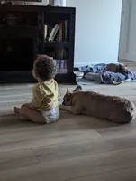 processed/c89593ea-abb3-445f-b19b-3e8ff9f9d9c2/listing/9ad10058-66d4-40a0-ab8f-342176d3b17d/448e57c4-5b8c-410d-91f2-ad2a16748fe2