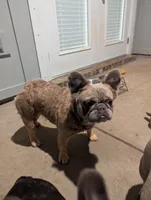 processed/c89593ea-abb3-445f-b19b-3e8ff9f9d9c2/listing/9ad10058-66d4-40a0-ab8f-342176d3b17d/503f280d-43fa-45b5-8195-fd266de2fc1e