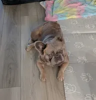 processed/c89593ea-abb3-445f-b19b-3e8ff9f9d9c2/listing/9ad10058-66d4-40a0-ab8f-342176d3b17d/c9d73f6d-b4b6-4b1e-bfbb-4892c18b65fe