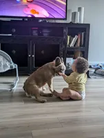 processed/c89593ea-abb3-445f-b19b-3e8ff9f9d9c2/listing/9ad10058-66d4-40a0-ab8f-342176d3b17d/dd637434-40e4-4c53-aaac-cf904f973e9f