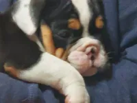 processed/c89a461f-9cf2-41b4-8a1a-70f40246d27d/listing/04e16117-596a-4cd0-866d-5c2c5236a511/445a1e0f-e153-40c4-a682-e397aa6e396a