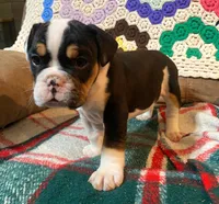 processed/c89a461f-9cf2-41b4-8a1a-70f40246d27d/listing/04e16117-596a-4cd0-866d-5c2c5236a511/844dc8d4-8d0e-457a-bf3e-cb3d754ece93