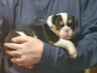 processed/c89a461f-9cf2-41b4-8a1a-70f40246d27d/listing/04e16117-596a-4cd0-866d-5c2c5236a511/9921dc51-980e-467b-9d7a-3db0fd34e81e