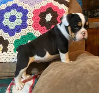 processed/c89a461f-9cf2-41b4-8a1a-70f40246d27d/listing/04e16117-596a-4cd0-866d-5c2c5236a511/a0b83df0-9223-47ce-b40b-696039a944be