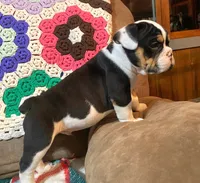 processed/c89a461f-9cf2-41b4-8a1a-70f40246d27d/listing/04e16117-596a-4cd0-866d-5c2c5236a511/b2a6f2f6-8e7e-47ed-a93d-fec02f9314f7