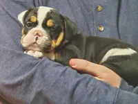 processed/c89a461f-9cf2-41b4-8a1a-70f40246d27d/listing/04e16117-596a-4cd0-866d-5c2c5236a511/f40ddbdc-a3ea-4836-9090-fa49f79357fb