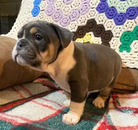 processed/c89a461f-9cf2-41b4-8a1a-70f40246d27d/listing/091a8c9f-034a-45be-8a62-99d0969b482b/86213617-1d27-4f2f-aef5-75fd0632027d