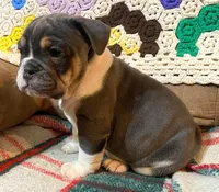 processed/c89a461f-9cf2-41b4-8a1a-70f40246d27d/listing/091a8c9f-034a-45be-8a62-99d0969b482b/d6ec3337-aa93-4a9b-83db-aa2b697baf08