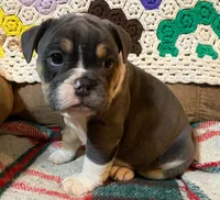 processed/c89a461f-9cf2-41b4-8a1a-70f40246d27d/listing/091a8c9f-034a-45be-8a62-99d0969b482b/fc81284e-14d3-4dc3-9006-f755c965c06f