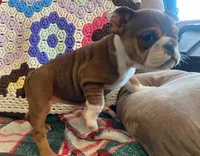 processed/c89a461f-9cf2-41b4-8a1a-70f40246d27d/listing/11a73345-8eb5-4eef-ae2e-295a5d49482b/17825830-a9d9-417f-98d1-da260a4d53c1