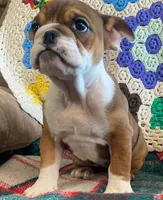 processed/c89a461f-9cf2-41b4-8a1a-70f40246d27d/listing/11a73345-8eb5-4eef-ae2e-295a5d49482b/22560cd3-0d5d-4798-8dbf-cdcbedadf5f5