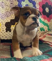 processed/c89a461f-9cf2-41b4-8a1a-70f40246d27d/listing/11a73345-8eb5-4eef-ae2e-295a5d49482b/23545516-e7b8-4995-bccc-6e70657387f8