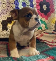 processed/c89a461f-9cf2-41b4-8a1a-70f40246d27d/listing/11a73345-8eb5-4eef-ae2e-295a5d49482b/277ed95a-2d6e-4101-a426-ea15f2bfa5e2