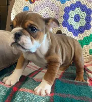 processed/c89a461f-9cf2-41b4-8a1a-70f40246d27d/listing/11a73345-8eb5-4eef-ae2e-295a5d49482b/4441eb85-d4b3-4a17-8fcf-ff1190a70d3c