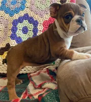 processed/c89a461f-9cf2-41b4-8a1a-70f40246d27d/listing/11a73345-8eb5-4eef-ae2e-295a5d49482b/50644459-bbbc-4d67-b4c8-2a26576e1367