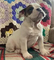 processed/c89a461f-9cf2-41b4-8a1a-70f40246d27d/listing/2420a10e-5867-4400-abb1-68259a3fe01b/22dc594e-5d53-4651-a628-68a2a43d4eda