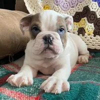 processed/c89a461f-9cf2-41b4-8a1a-70f40246d27d/listing/2420a10e-5867-4400-abb1-68259a3fe01b/2cd1432b-832c-4565-b51b-c55fe30480e0