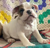 processed/c89a461f-9cf2-41b4-8a1a-70f40246d27d/listing/2420a10e-5867-4400-abb1-68259a3fe01b/7db18362-2488-4073-9c12-e13c51edf808