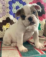 processed/c89a461f-9cf2-41b4-8a1a-70f40246d27d/listing/2420a10e-5867-4400-abb1-68259a3fe01b/ce21aaca-7998-4255-b602-5e32fd0a59a9