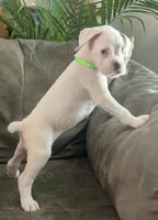 processed/c89a461f-9cf2-41b4-8a1a-70f40246d27d/listing/30f73016-acee-42b3-bbb3-1f1fbfba48c9/0a4ac038-588e-48fe-b7df-378c77066e77