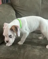 processed/c89a461f-9cf2-41b4-8a1a-70f40246d27d/listing/30f73016-acee-42b3-bbb3-1f1fbfba48c9/26b89f8d-db1d-4b2b-aa2c-20b3d699de36