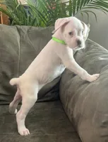 processed/c89a461f-9cf2-41b4-8a1a-70f40246d27d/listing/30f73016-acee-42b3-bbb3-1f1fbfba48c9/43078388-aa85-4ff6-8b9a-bd5aa25ff250