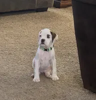 processed/c89a461f-9cf2-41b4-8a1a-70f40246d27d/listing/30f73016-acee-42b3-bbb3-1f1fbfba48c9/71828eff-ebf6-4879-b034-a281c99e0ab3