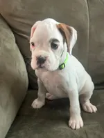 processed/c89a461f-9cf2-41b4-8a1a-70f40246d27d/listing/30f73016-acee-42b3-bbb3-1f1fbfba48c9/9a03edaa-e62a-47fa-804c-99b6a9c782a6